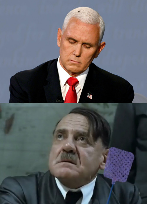 Pence with flyswatter