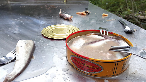 Surströmming