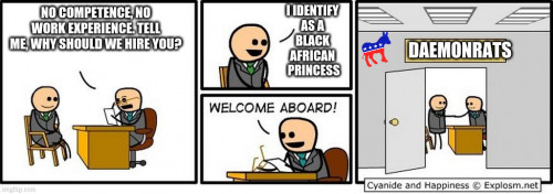 Democrats job interview