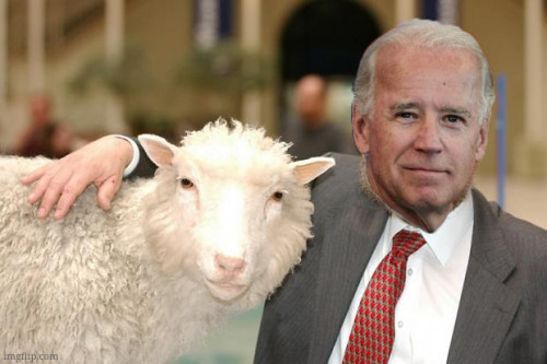 Bidenand his voter selfie