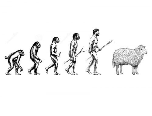 Evolution