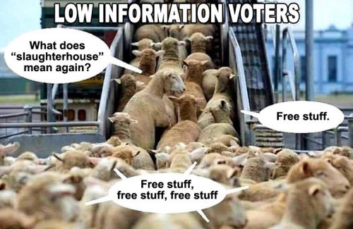 Low information sheep voters