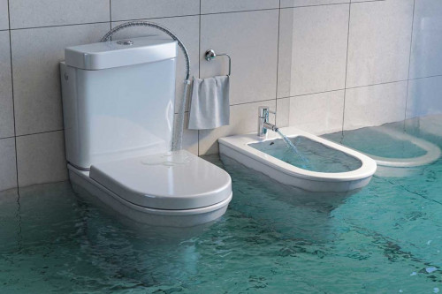 Overflowing bidet and toilet