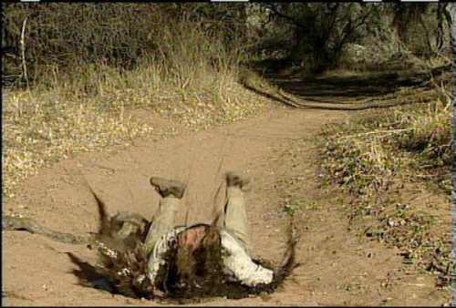 Fauci falling into mud