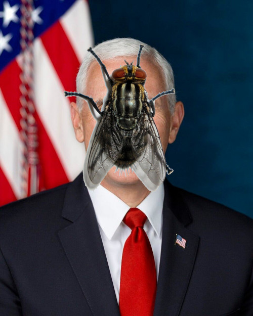 Mike pence fly