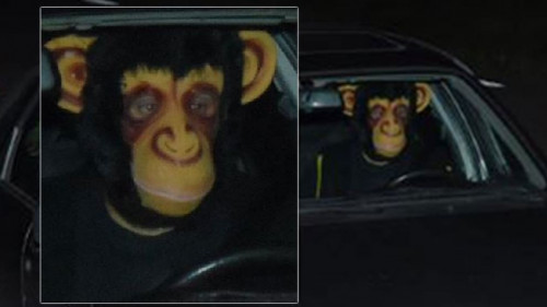 Monkey mask speeding camera