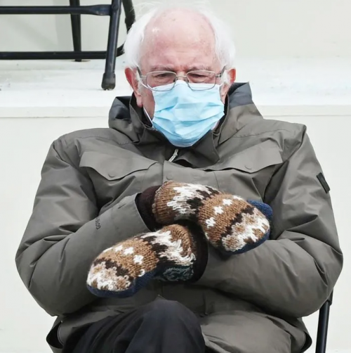 Bernie mittens