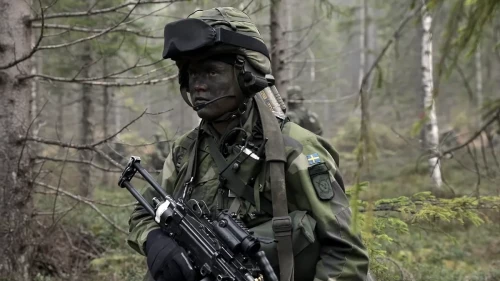 Swedish military