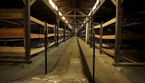 Auschwitz bunk beds