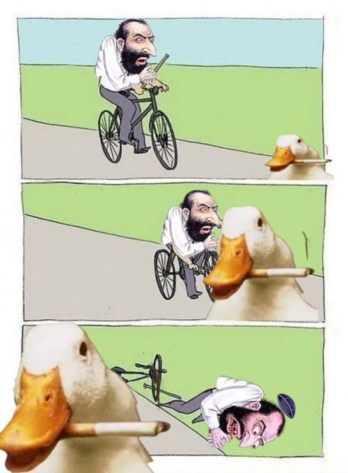 jew attacked by ducks