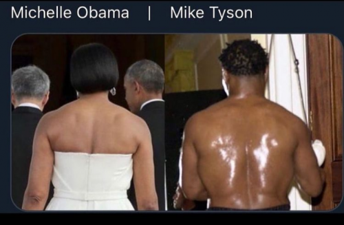 real big Mikes michelle obama vs mike tyson