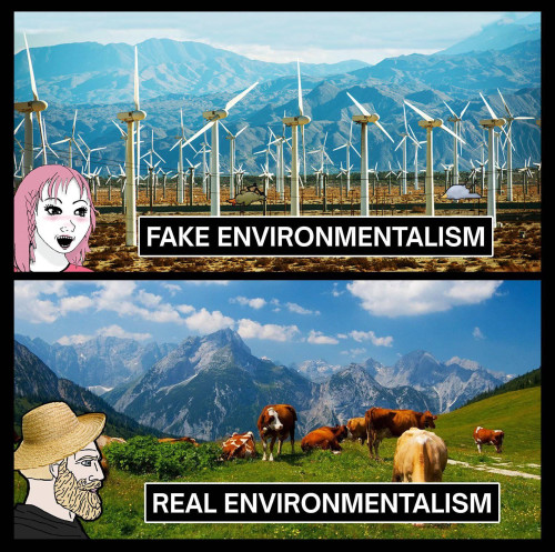 Environmentalism