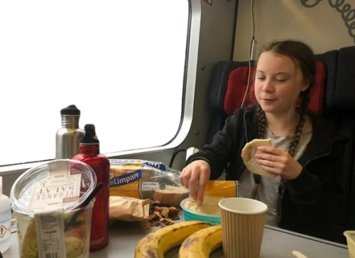 Greta rides the train meme template